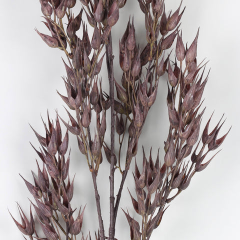Artificial Dried Grass – Faux Floral Stems for Home & Event Décor
