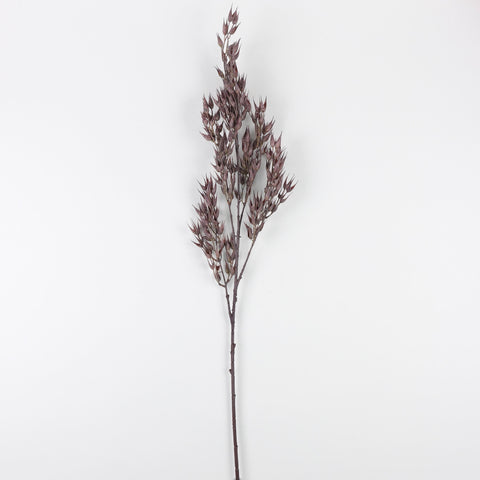 Flower Pick