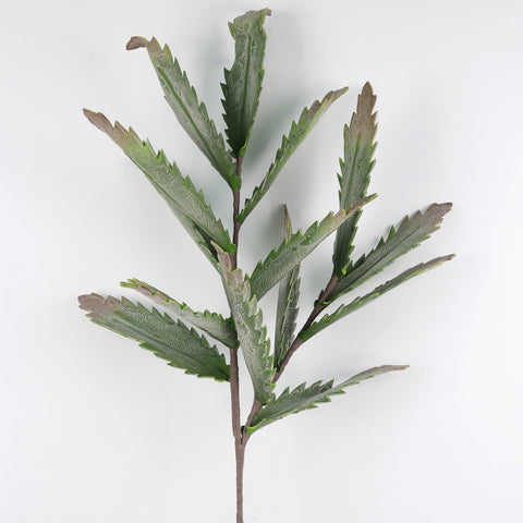 Artificial Dried Fern Plants – Faux Phoenix Tail Fern Leaves Stems for Home & Garden Décor