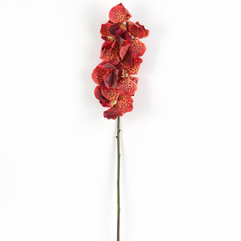 Flower Pick