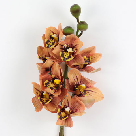 Artificial Cymbidium Orchid – Orange Faux Stem, Realistic Boat Orchid for Home Décor