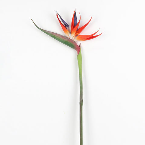 Flower Pick