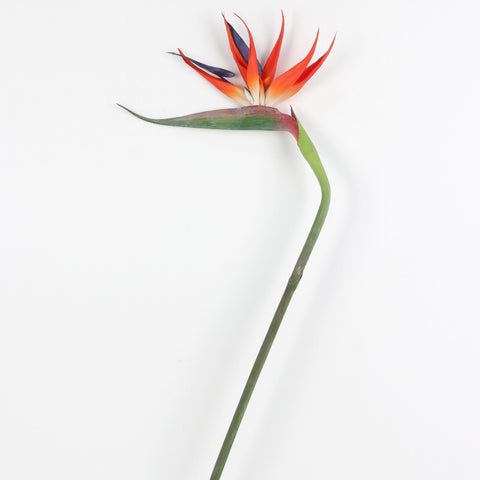 Flower Pick