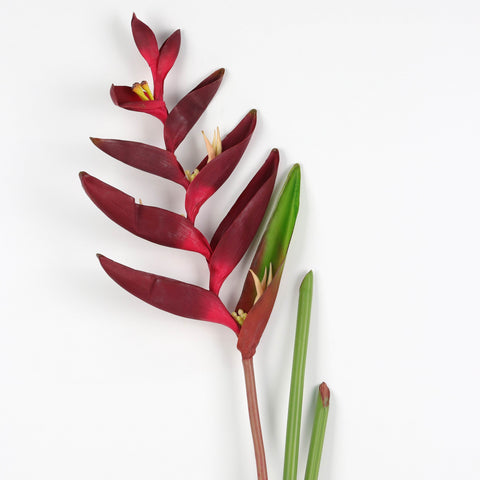 Large Bird of Paradise Heliconia Stem Artificial Flowers -Fake Flower for Indoor/Outdoor Garland, Home & Garden Décor