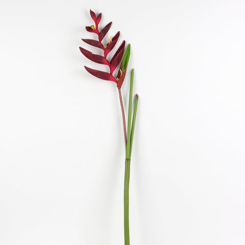 Flower Pick