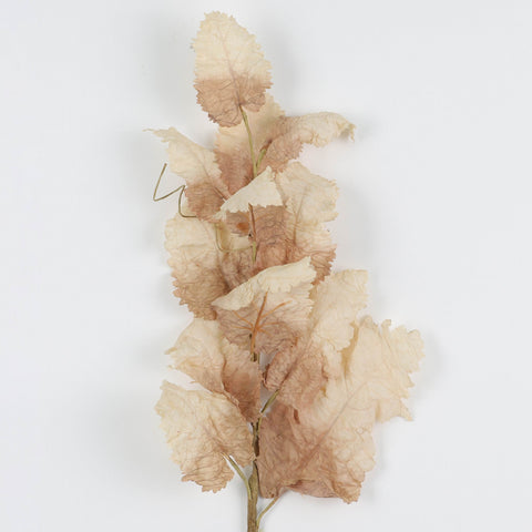 Rustic Taupe Artificial Leaf Spray: Dried Touch Faux Foliage for Autumn & Home Decor | Wholesale Available