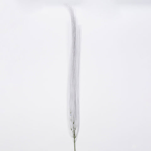 Flower Pick