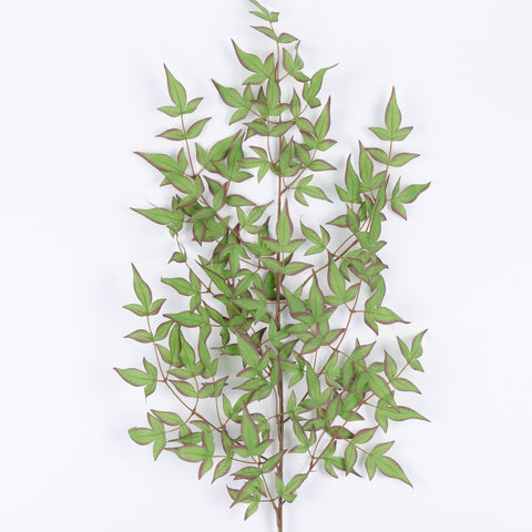 Green Artificial Bamboo Plant - 1Pcs Faux Bamboo Branch for Vase, Lucky Bamboo Stems for Home, Wedding, Office, Garden Decor | Wholesale Available