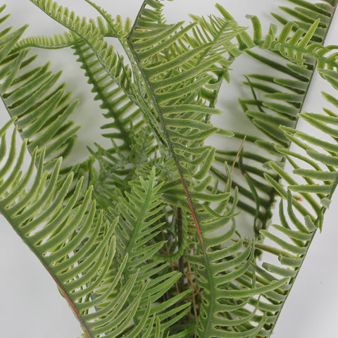 Green Fern Bush Artificial Flower for Home, Garden & Event Décor