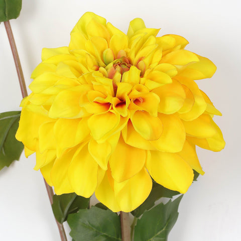 Flower Pick