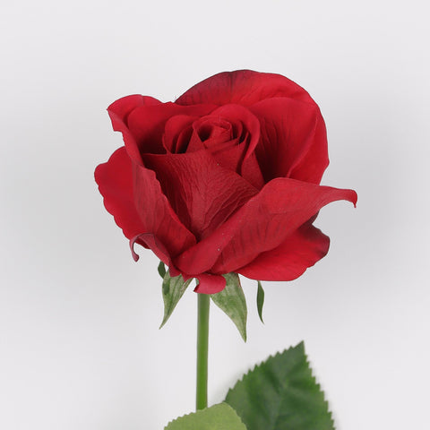 Wholesale Classic Red Artificial Rose Stem – Timeless Faux Rose for Homes & Events