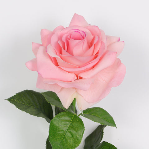 Flower Pick