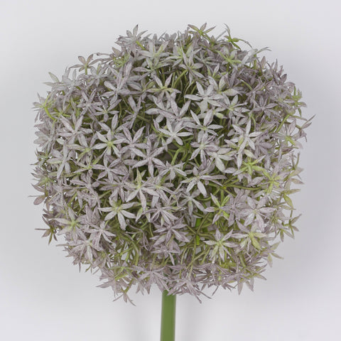 Flower Pick