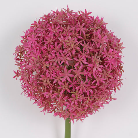 Flower Pick