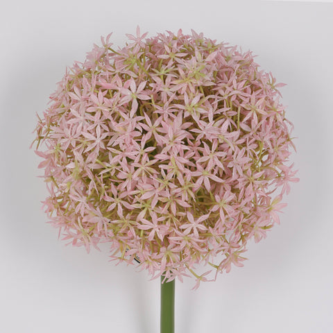 Flower Pick