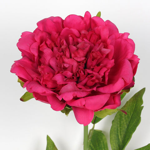 Flower Pick