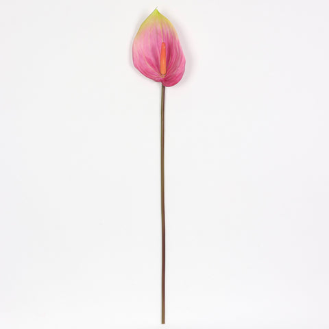 Flower Pick