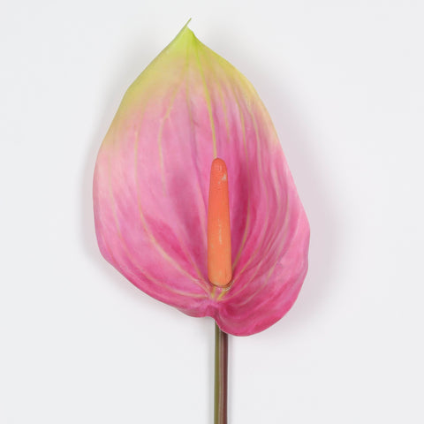 Flower Pick