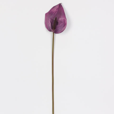 Flower Pick