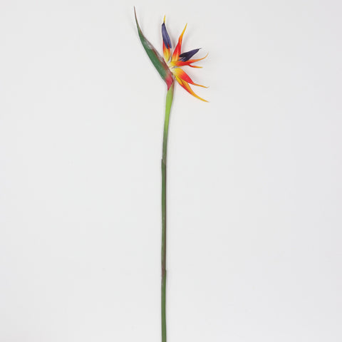 Flower Pick