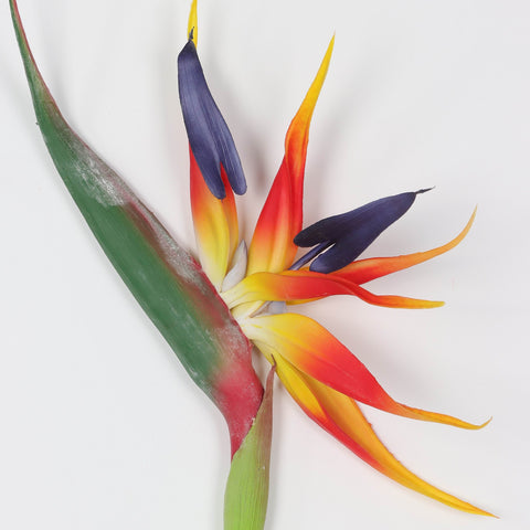 Flower Pick