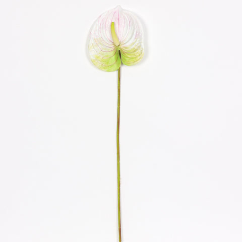 Flower Pick