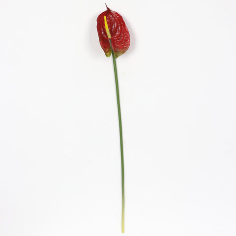 Flower Pick