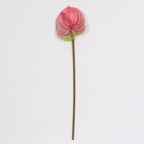 Pink Anthurium Stem Artificial Flower for Home, Event & Garden Décor