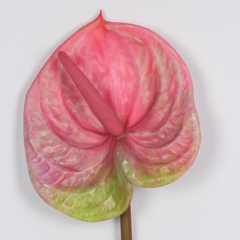 Pink Anthurium Stem Artificial Flower for Home, Event & Garden Décor