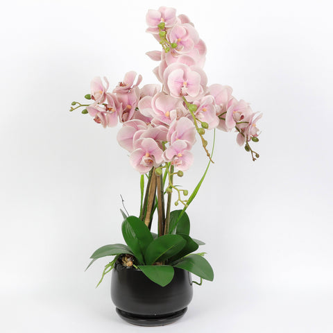 Nearly Natural Orchid Phalaenopsis Artificial Arrangement in Vase