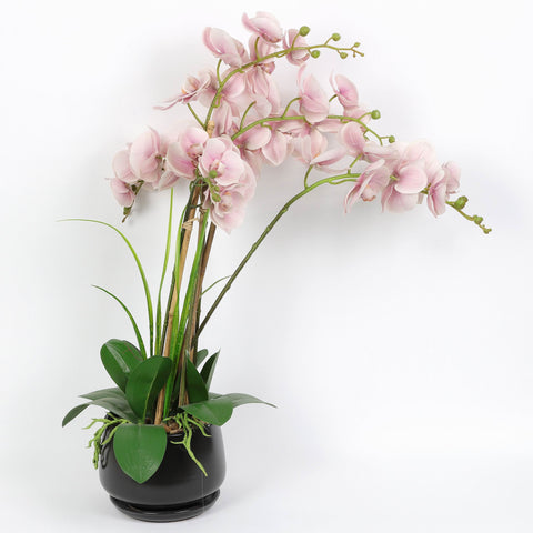 Nearly Natural Orchid Phalaenopsis Artificial Arrangement in Vase