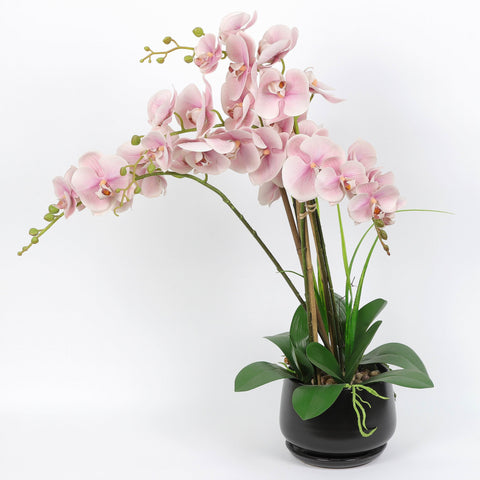 Nearly Natural Orchid Phalaenopsis Artificial Arrangement in Vase