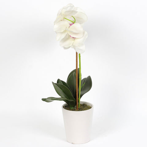 Nearly Natural Orchid Phalaenopsis Artificial Arrangement in Vase