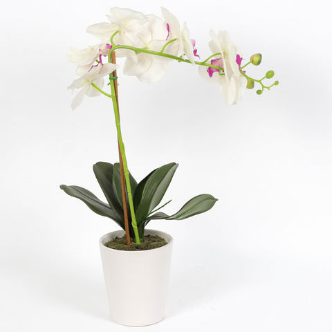Nearly Natural Orchid Phalaenopsis Artificial Arrangement in Vase