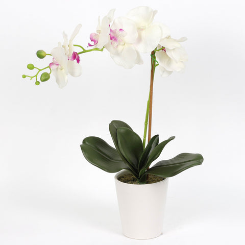 Nearly Natural Orchid Phalaenopsis Artificial Arrangement in Vase
