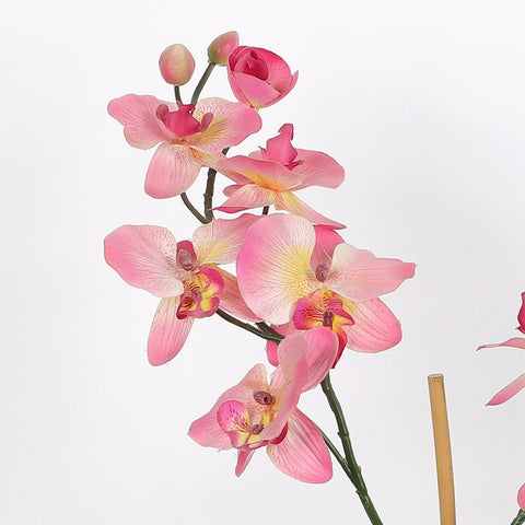 Nearly Natural Orchid Phalaenopsis Artificial Arrangement in Vase