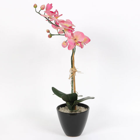 Nearly Natural Orchid Phalaenopsis Artificial Arrangement in Vase