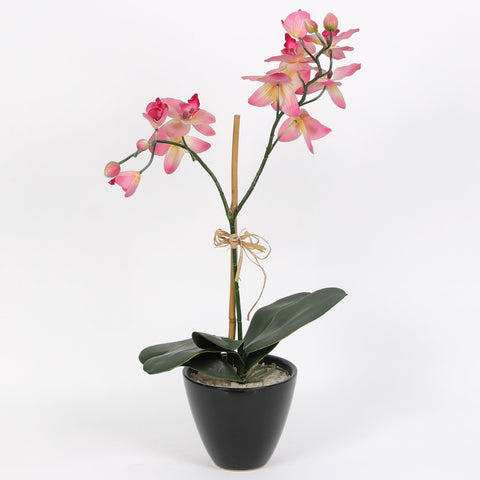 Nearly Natural Orchid Phalaenopsis Artificial Arrangement in Vase
