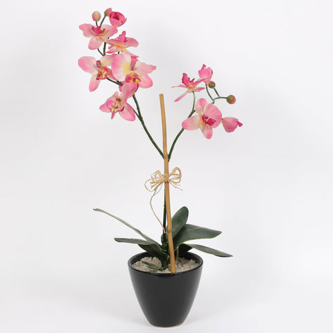 Nearly Natural Orchid Phalaenopsis Artificial Arrangement in Vase