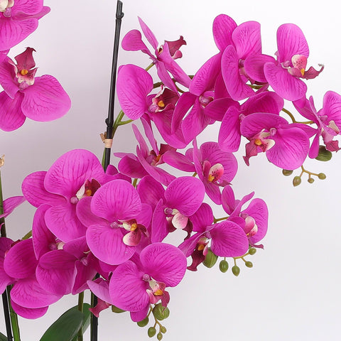 Nearly Natural Orchid Phalaenopsis Artificial Arrangement in Vase