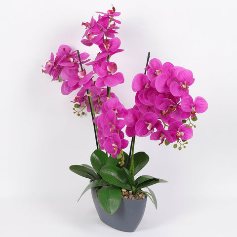 Nearly Natural Orchid Phalaenopsis Artificial Arrangement in Vase