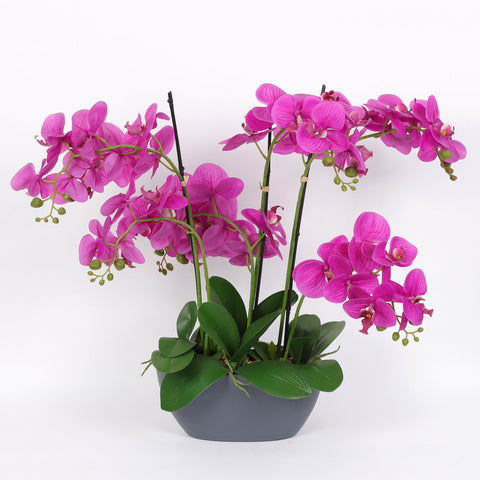 Nearly Natural Orchid Phalaenopsis Artificial Arrangement in Vase