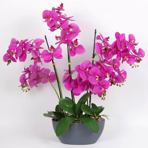 Nearly Natural Orchid Phalaenopsis Artificial Arrangement in Vase