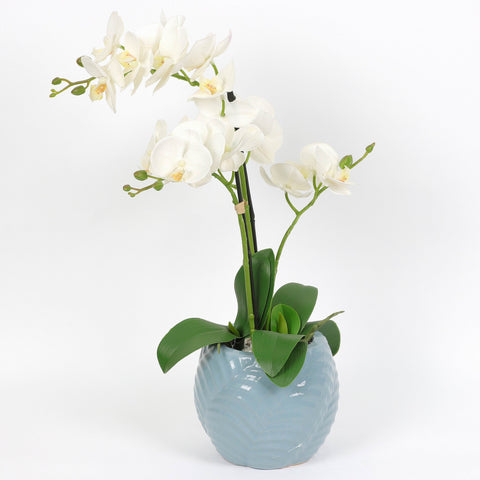 Nearly Natural Orchid Phalaenopsis Artificial Arrangement in Vase