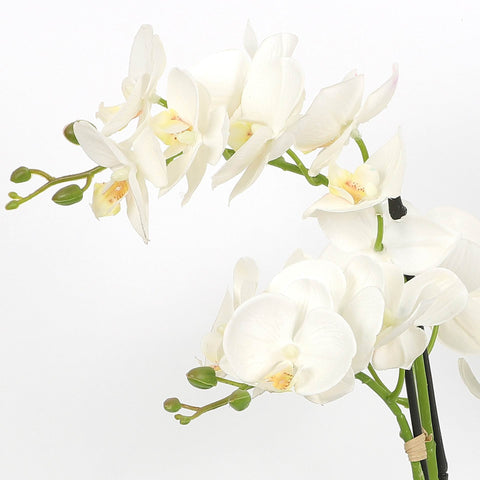 Nearly Natural Orchid Phalaenopsis Artificial Arrangement in Vase