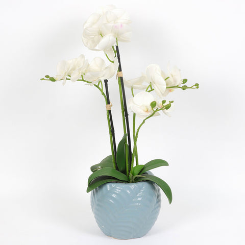 Nearly Natural Orchid Phalaenopsis Artificial Arrangement in Vase