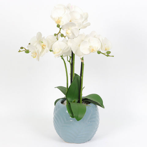 Nearly Natural Orchid Phalaenopsis Artificial Arrangement in Vase