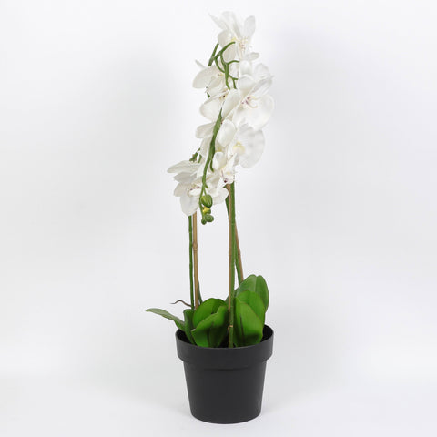 Nearly Natural Orchid Phalaenopsis Artificial Arrangement in Vase