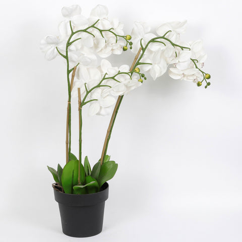Nearly Natural Orchid Phalaenopsis Artificial Arrangement in Vase