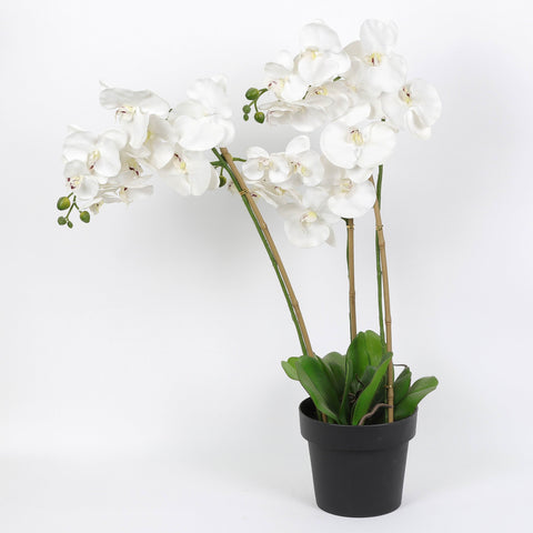 Nearly Natural Orchid Phalaenopsis Artificial Arrangement in Vase